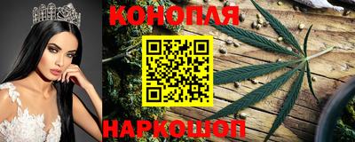 шишки Ирбит