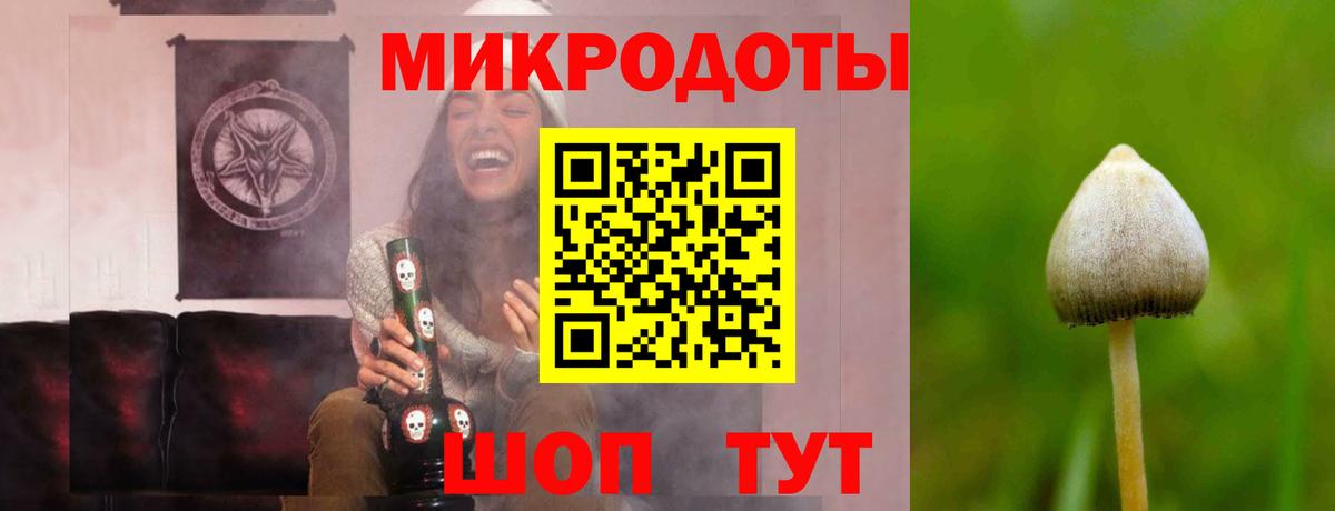 Кузнецк  Галлюциногенные грибы GOLDEN TEACHER  Вход с VPN  Галлюциногенные грибы мухоморы 