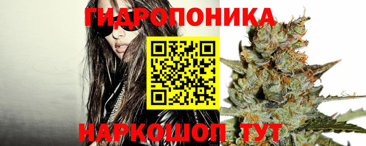 Конопля индика Кузнецк